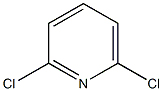 2,6-Dichloropyridine